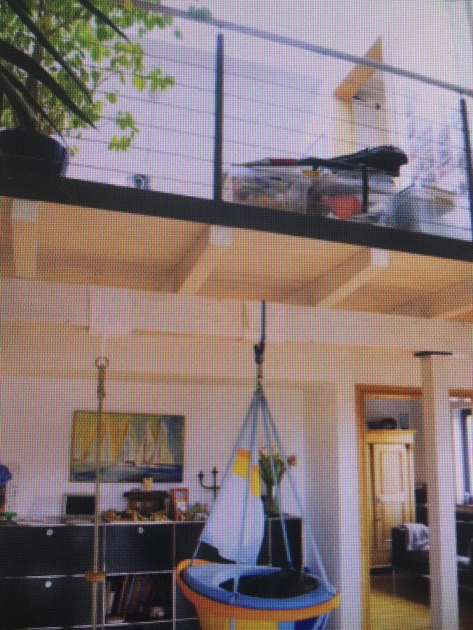 Gaestehaus/Fewos/Boardinghaus Lueneburg Sued מראה חיצוני תמונה